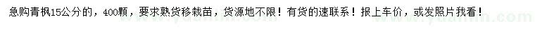 求購15公分青楓