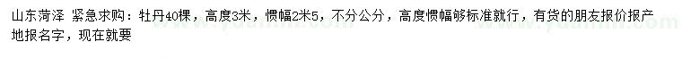 求購高度3米牡丹