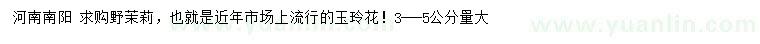 求購3-5公分野茉莉