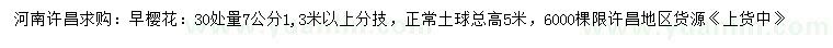求購30處量7公分早櫻