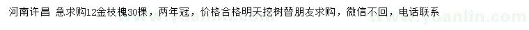 求購12公分金枝槐