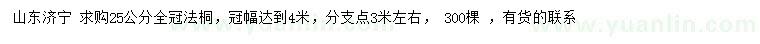求購25公分全冠法桐