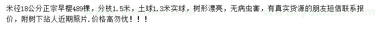 求購米徑18公分早櫻