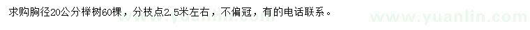 求購胸徑20公分櫸樹