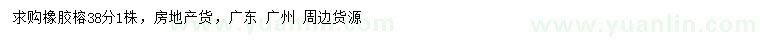 求購(gòu)38公分橡膠榕