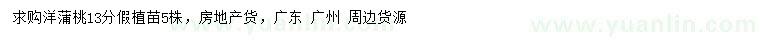 求購13公分洋蒲桃假植苗