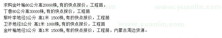 求購金葉榆、丁香、紫葉李等