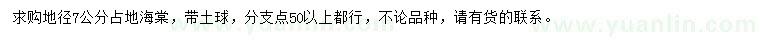 求購地徑7公分占地海棠