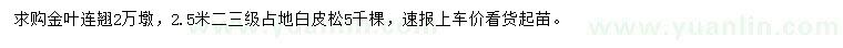 求購(gòu)金葉連翹、2.5米白皮松