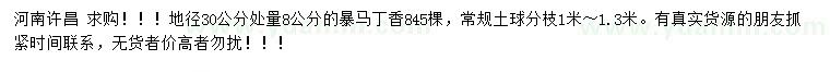 求購(gòu)地徑30公分處量8公分暴馬丁香