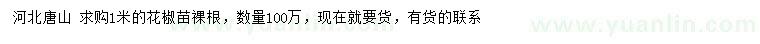 求購1米花椒苗
