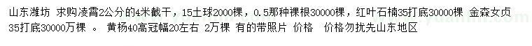 求購凌霄、紅葉石楠、金森女貞等