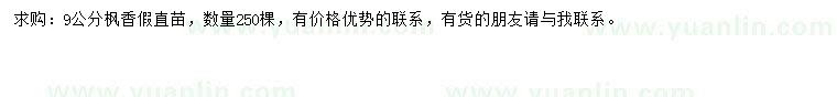 求購9公分楓香假直苗