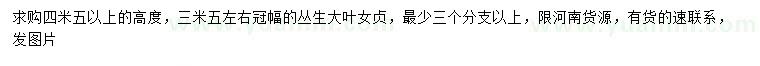 求購高度4.5米以上叢生大葉女貞