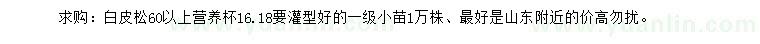 求購60公分以上白皮松