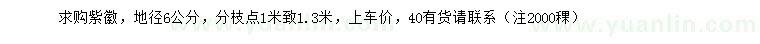 求購(gòu)地徑6公分紫徽