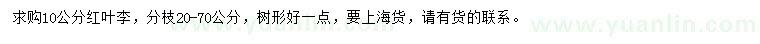 求購10公分紅葉李