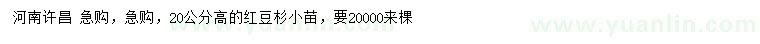 求購高20公分紅豆杉小苗
