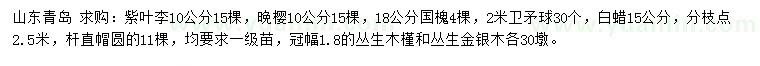 求購紫葉李、晚櫻、國槐等