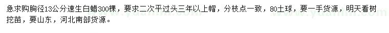 求購胸徑13公分速生白蠟