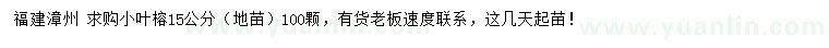 求購15公分小葉榕