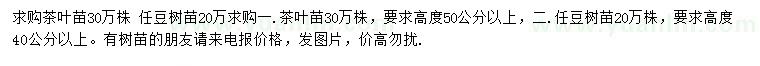求購高度50公分以上茶葉苗、40公分以上任豆樹苗