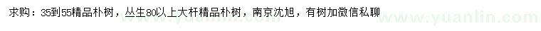 求購(gòu)35-55公分精品樸樹