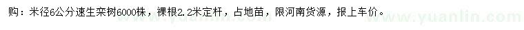 求購(gòu)米徑6公分速生欒樹