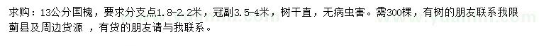 求購13公分國槐