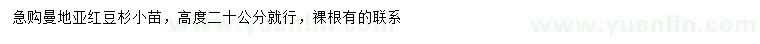 求購(gòu)高度20公分曼地亞紅豆杉小苗