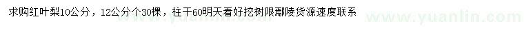 求購10、12公分紅葉梨
