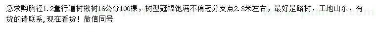 求購胸徑1.2米量16公分楸樹