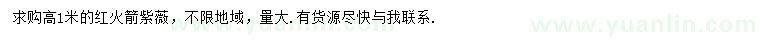 求購高1米紅火箭紫薇