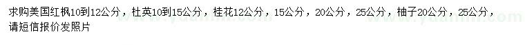 求購美國紅楓、杜英、桂花等