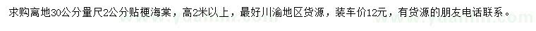 求購離地30公分量尺2公分貼梗海棠