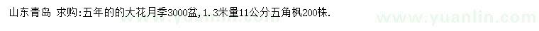 求購(gòu)五年大花月季、1.3米量11公分五角楓