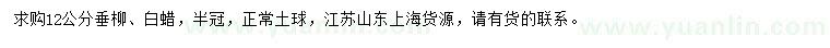 求購12公分垂柳、白蠟