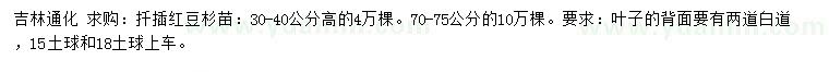 求購(gòu)高30-40、70-75公分扦插紅豆杉苗