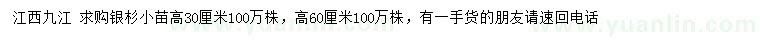 求購高30、60公分銀杉小苗