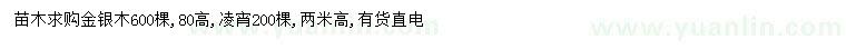 求購(gòu)高80公分金銀木、2米凌宵