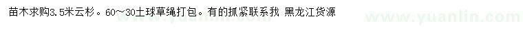 求購3.5米云杉