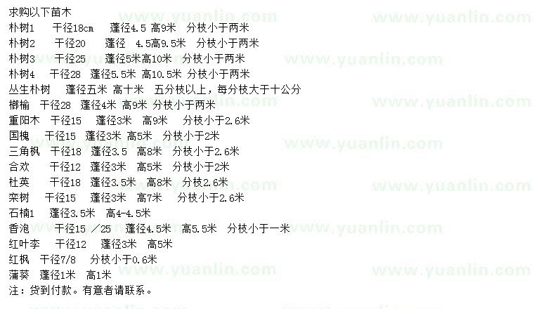求購樸樹、榔榆、重陽木等