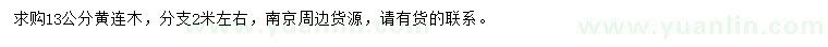 求購13公分黃連木