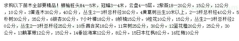 求購(gòu)榔榆樁頭、紫薇、黃連木等