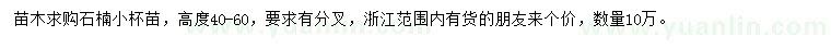 求購高度40-60公分石楠小杯苗