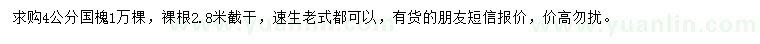 求購4公分國槐