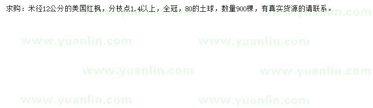 求購米徑12公分美國紅楓