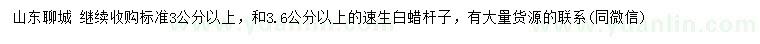 求購3、3.6公分以上速生白蠟桿子