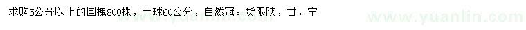 求購5公分以上國槐