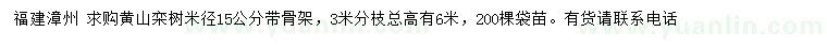 求購米徑15公分黃山欒樹